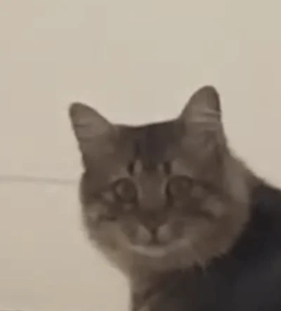 Samba