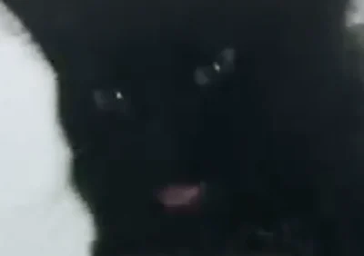 Nera